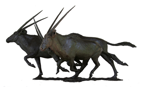 Gemsbok Bronze
